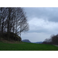 DSC07855